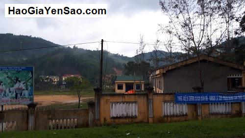Học ngoại ngữ ở Huyện Tây Trà, Lựa chọn 4 Trung tâm tốt khu vực T. Quảng Ngãi