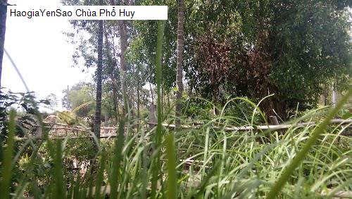 Danh Sách 10 Chùa, địa chỉ tâm linh tại Huyện Tư Nghĩa Tỉnh Quảng Ngãi (Phần 3)