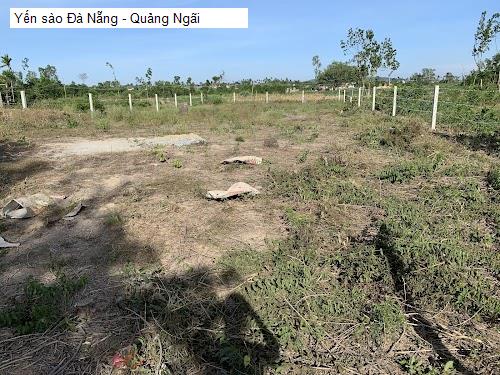  Quảng Ngãi - Danh sách 3 Cửa Hàng Yến Sào tại H. Nghĩa Hành, T. Quảng Ngãi