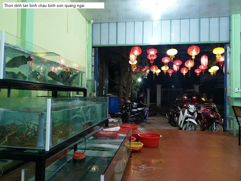 Thon dinh tan binh chau binh son quang ngai