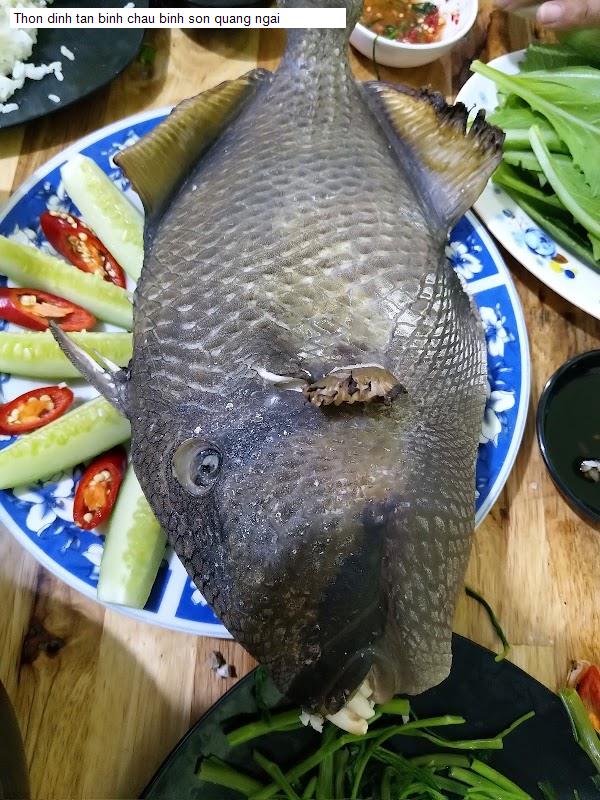 Thon dinh tan binh chau binh son quang ngai