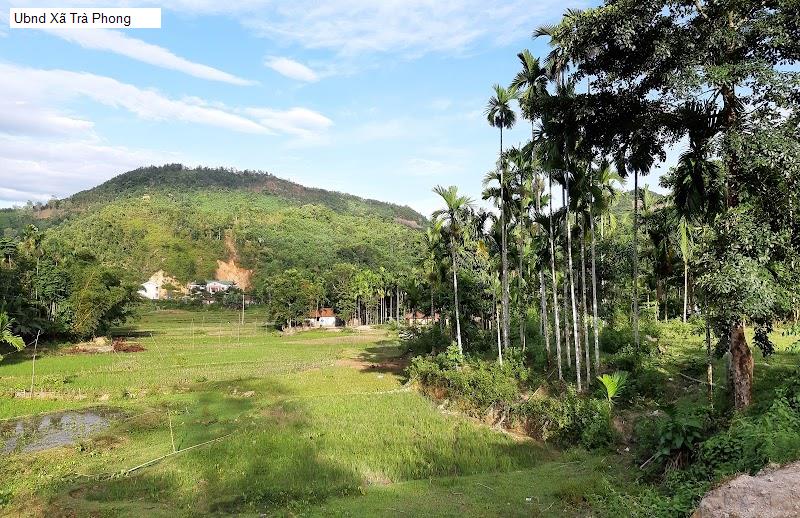 Ubnd Xã Trà Phong
