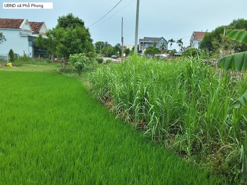UBND xã Phổ Phong