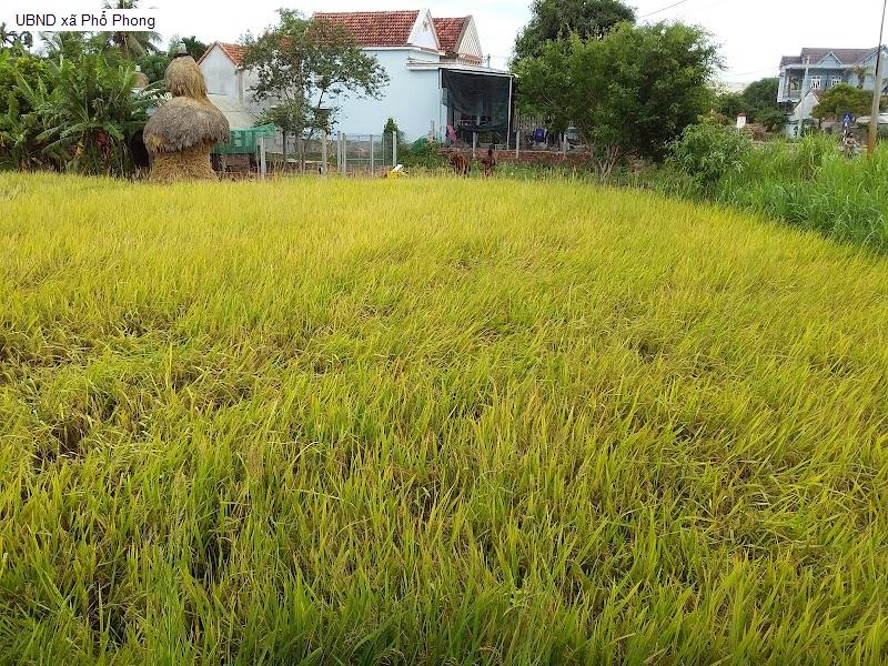 UBND xã Phổ Phong