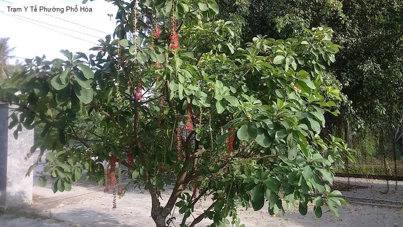 Trạm Y Tế Phường Phổ Hòa