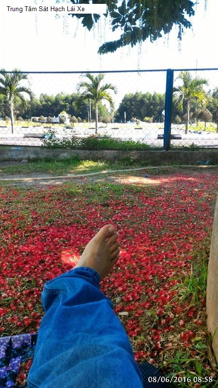 Trung Tâm Sát Hạch Lái Xe
